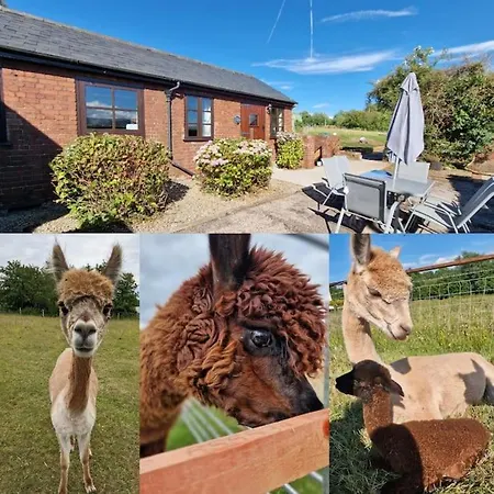 Swallows Nest Guest House - With Hot Tub Abergavenny Exterior photo